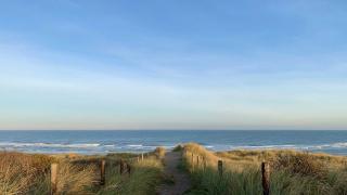 Vlieland dunes by sunrise